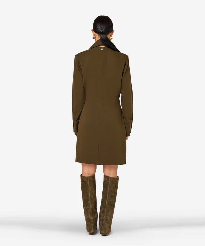 Ibana Dallas Dress